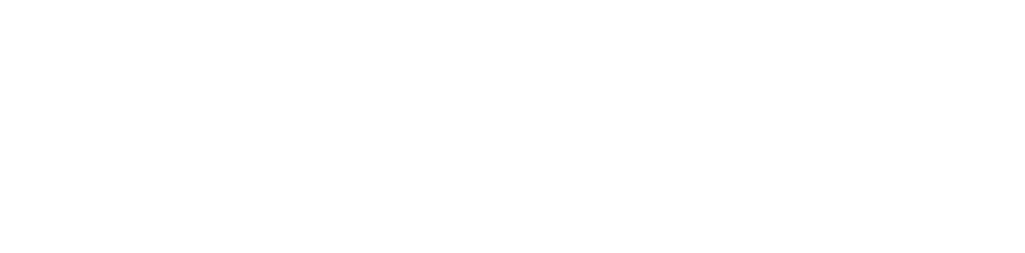 Pinaki White Logo