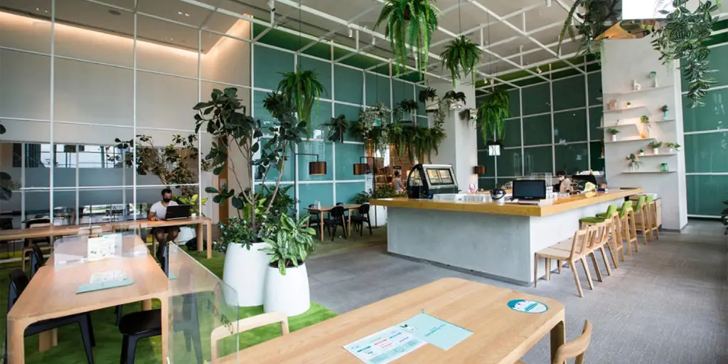 Design Trends in Co-living Spaces: Creating Community and Comfort in Mumbai